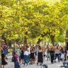 Festas na Rua voltam a tomar conta de Lisboa — e tem programação com a nossa cara!